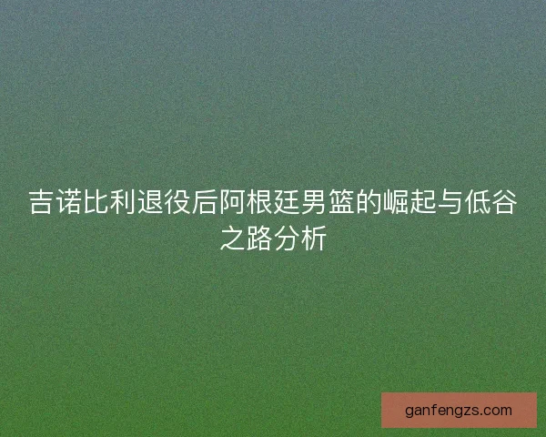 吉诺比利退役后阿根廷男篮的崛起与低谷之路分析